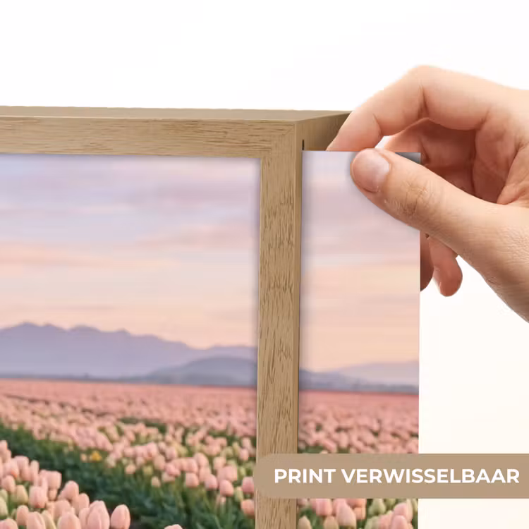Tulpen - Landschap - Roze Light Box met batterij (Wandlamp) middel -USP_websiteprintNL