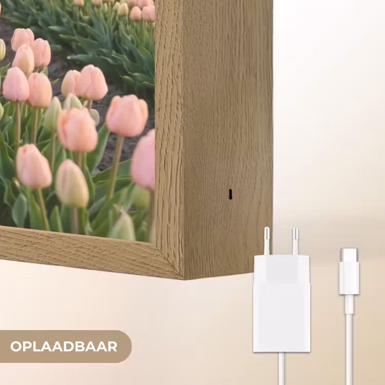 Tulpen - Landschap - Roze Light Box met batterij (Wandlamp) middel -USP_websiteoplaadbaarNL