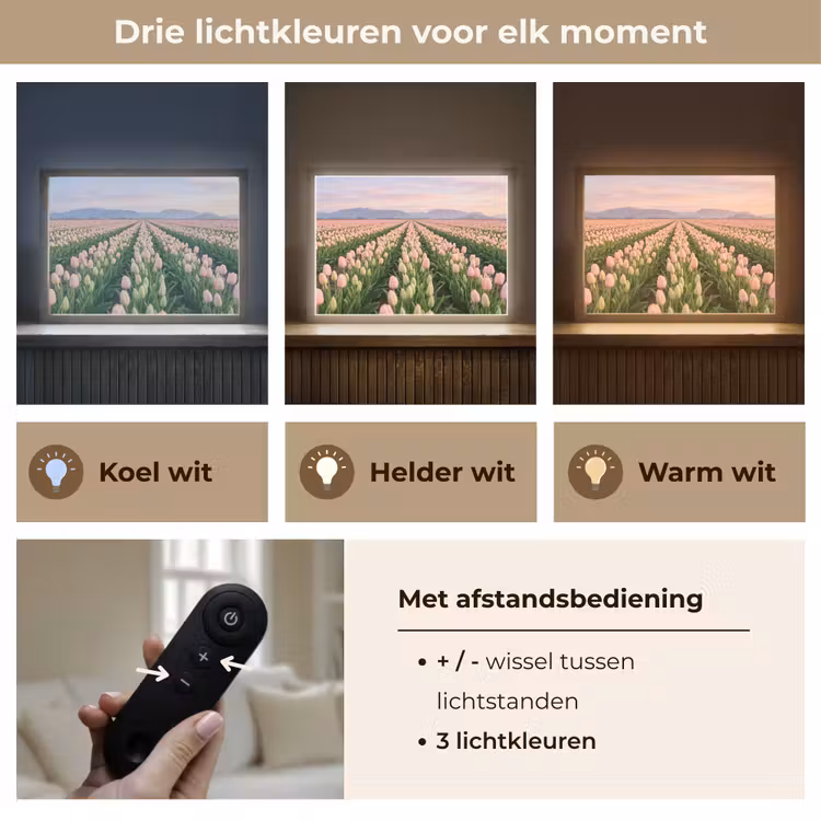 Tulpen - Landschap - Roze Light Box met batterij (Wandlamp) middel -USP_lichtkleurNL