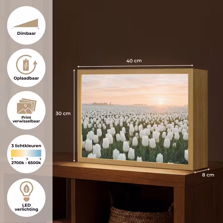 Tulpen - Landschap - Wit Light Box met batterij (Wandlamp) middel -USP_websiteoverzichtNL