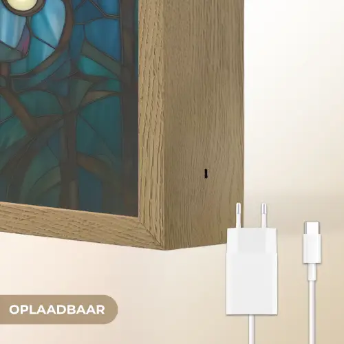 Uil - Mozaïek - Maan - Nacht Light Box met batterij (Wandlamp) middel -USP_websiteoplaadbaarNL
