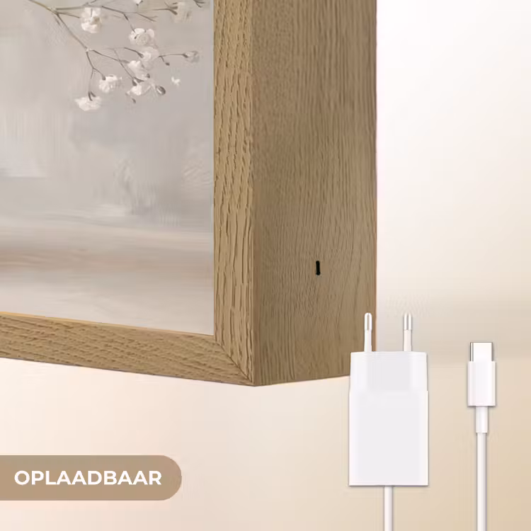 Vaas - Gipskruid - Wit Light Box met batterij (Wandlamp) middel -USP_websiteoplaadbaarNL
