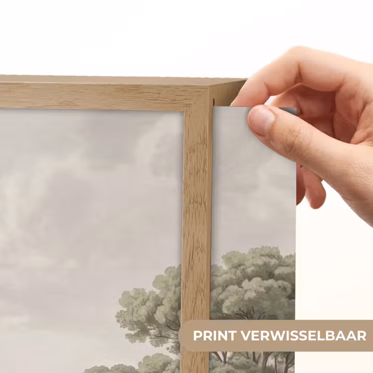 Vallei - Bos - Natuur - Groen Light Box met batterij (Wandlamp) middel -USP_websiteprintNL