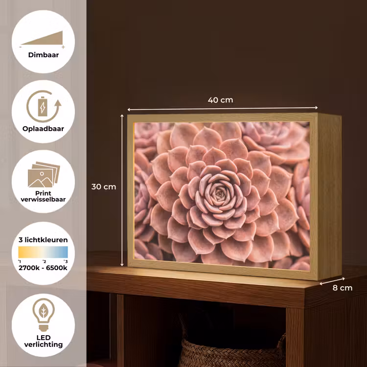 Vetplant - Organisch - Roze Light Box met batterij (Wandlamp) middel -USP_websiteoverzichtNL