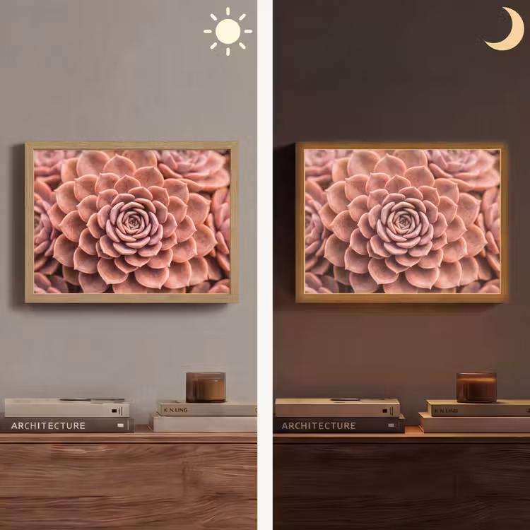 Vetplant - Organisch - Roze Light Box met batterij (Wandlamp) middel -sfeer3