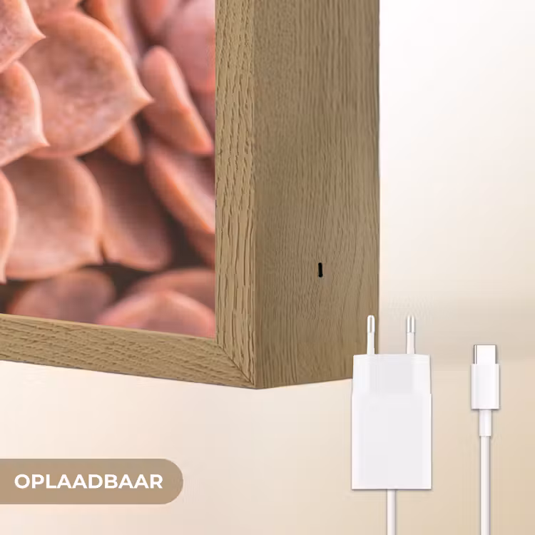 Vetplant - Organisch - Roze Light Box met batterij (Wandlamp) middel -USP_websiteoplaadbaarNL