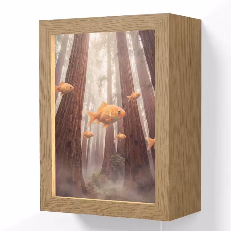Lightbox - Wandlamp - Vis - Bos - Fantasie - Vis - Bos - Fantasie Light Box met kabel (Wandlamp) klein