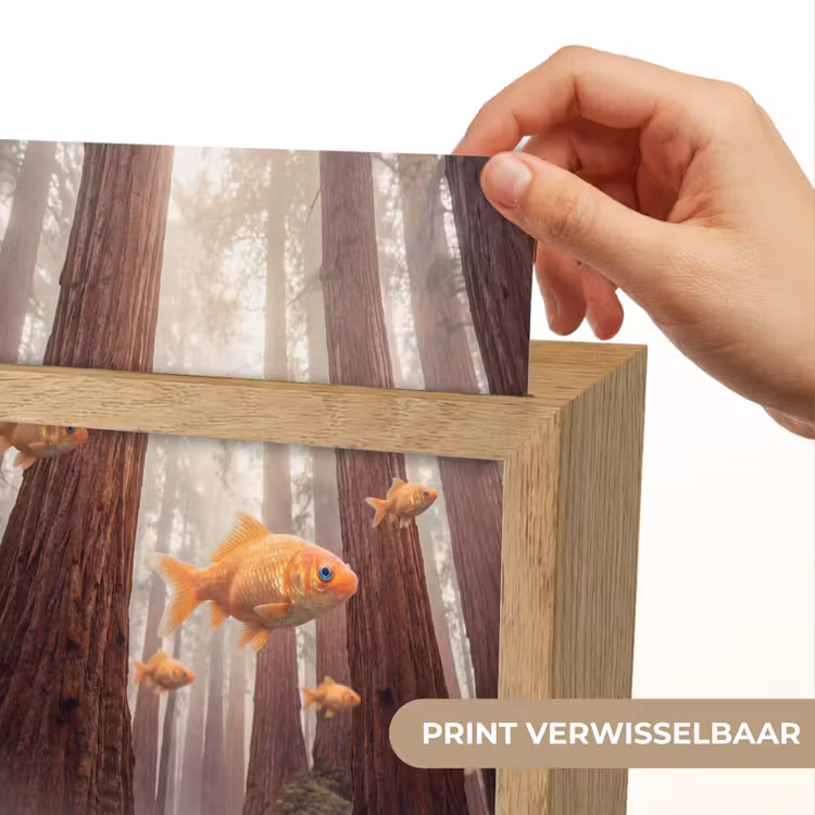 Lightbox - Wandlamp - Vis - Bos - Fantasie - Vis - Bos - Fantasie Light Box met kabel (Wandlamp) klein