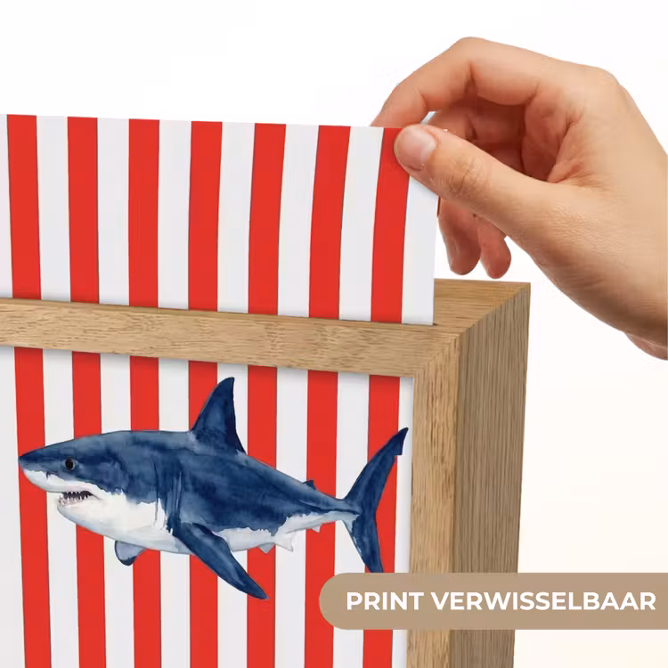 Vis - Haai - Zee - Illustratie - Blauw Light Box met kabel (Wandlamp) klein -USP_websiteprintNL
