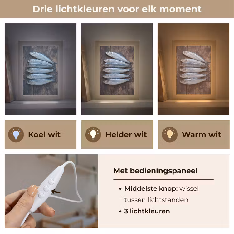 Lightbox - Wandlamp - Vis - Hout - Eten - Vis - Hout - Eten Light Box met kabel (Wandlamp) klein