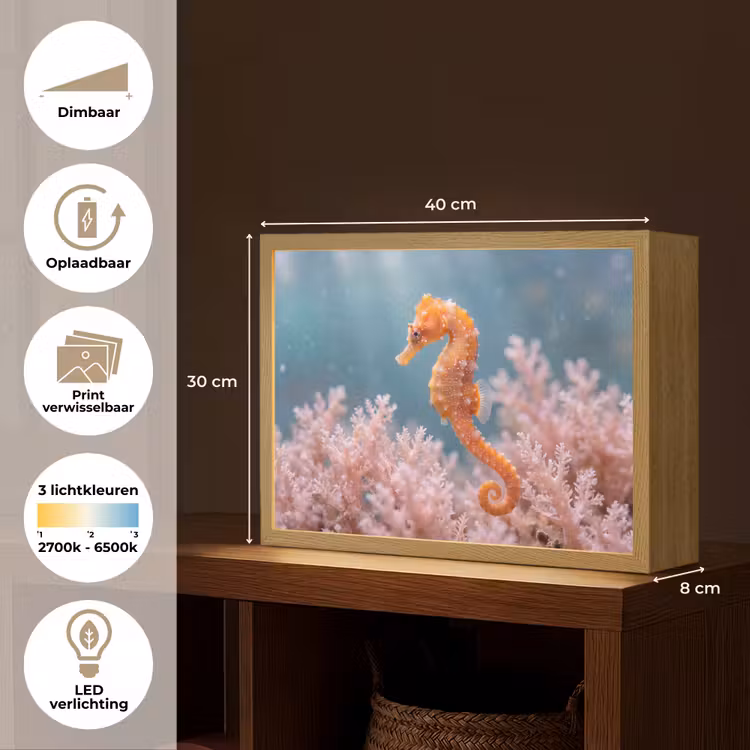 Vis - Koraal - Oceaan - Macro - Oranje Light Box met batterij (Wandlamp) middel -USP_websiteoverzichtNL