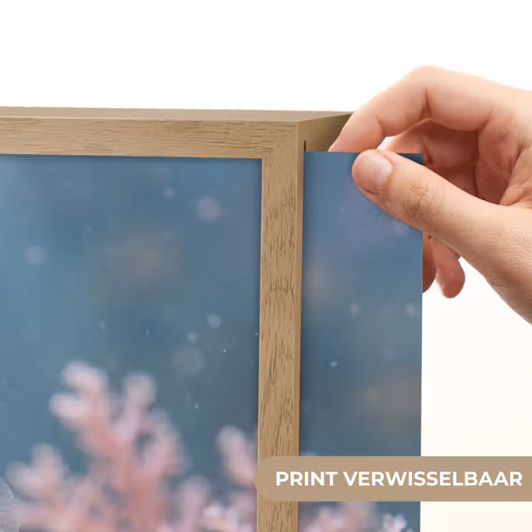 Vis - Koraal - Oceaan - Macro - Oranje Light Box met batterij (Wandlamp) middel -USP_websiteprintNL