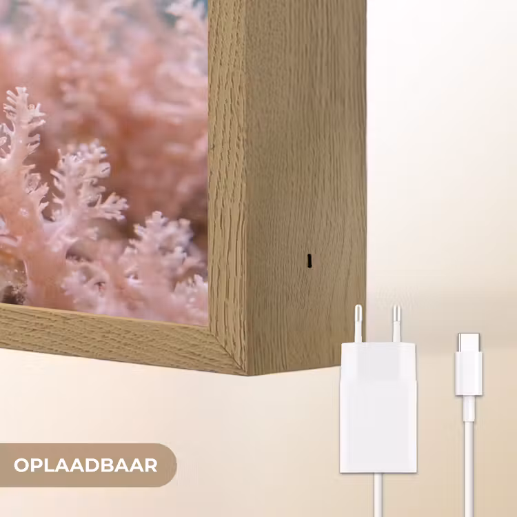 Vis - Koraal - Oceaan - Macro - Oranje Light Box met batterij (Wandlamp) middel -USP_websiteoplaadbaarNL