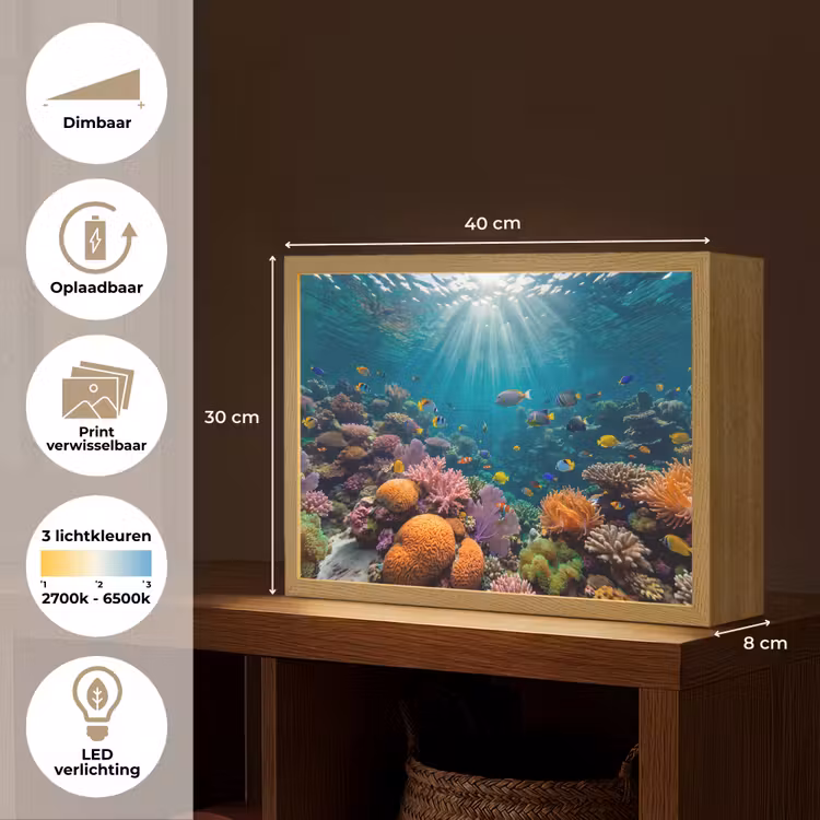 Vis - Koraal - Oceaan - Natuur - Kleurrijk Light Box met batterij (Wandlamp) middel -USP_websiteoverzichtNL