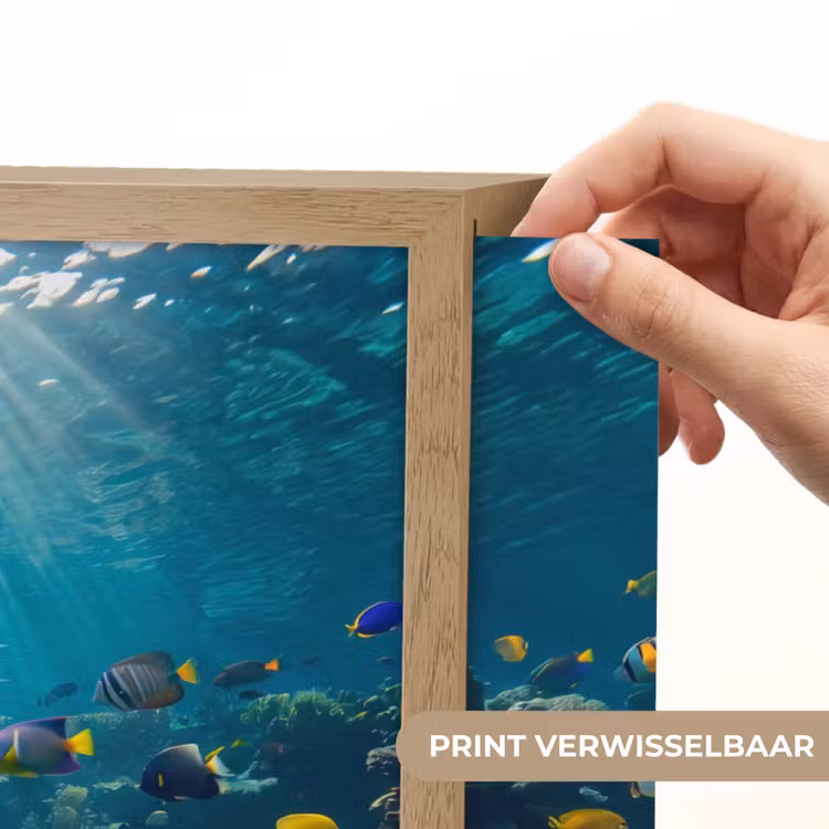 Vis - Koraal - Oceaan - Natuur - Kleurrijk Light Box met batterij (Wandlamp) middel -USP_websiteprintNL