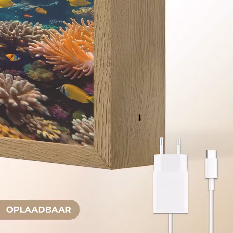 Vis - Koraal - Oceaan - Natuur - Kleurrijk Light Box met batterij (Wandlamp) middel -USP_websiteoplaadbaarNL