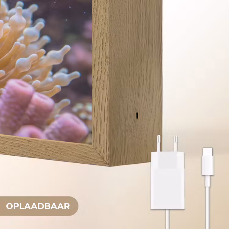 Vis - Koraal - Onderwater - Oranje - Dieren Light Box met batterij (Wandlamp) middel -USP_websiteoplaadbaarNL