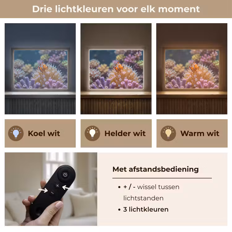 Vis - Koraal - Onderwater - Oranje - Dieren Light Box met batterij (Wandlamp) middel -USP_lichtkleurNL