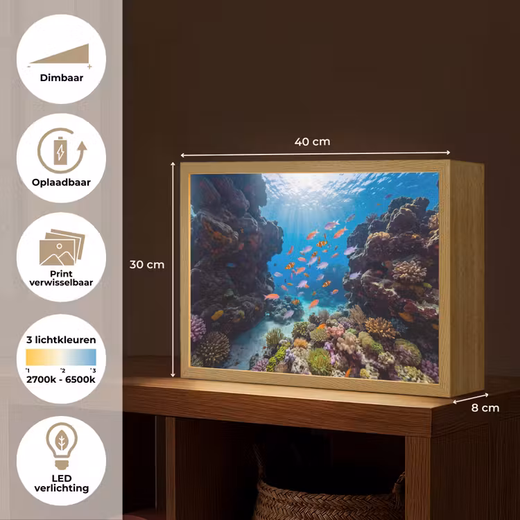 Vis - Koraalrif - Onderwater - Levendig - Blauw Light Box met batterij (Wandlamp) middel -USP_websiteoverzichtNL
