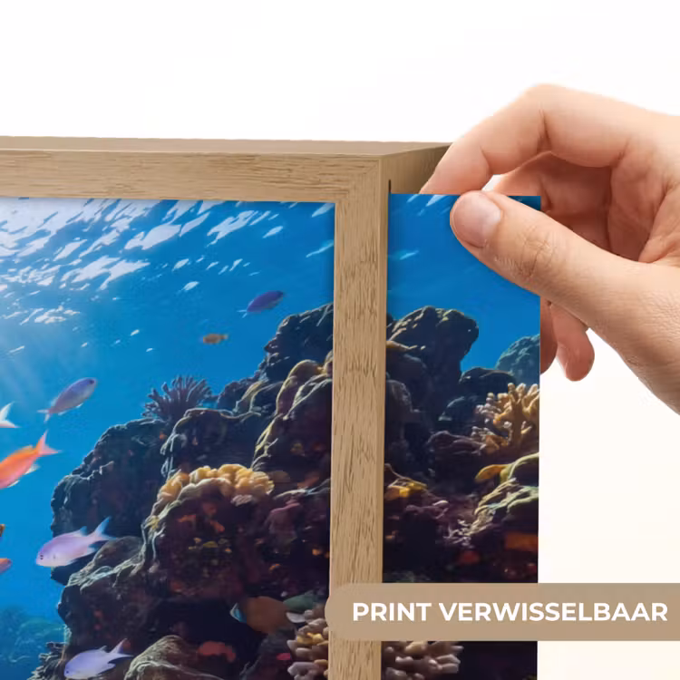 Vis - Koraalrif - Onderwater - Levendig - Blauw Light Box met batterij (Wandlamp) middel -USP_websiteprintNL