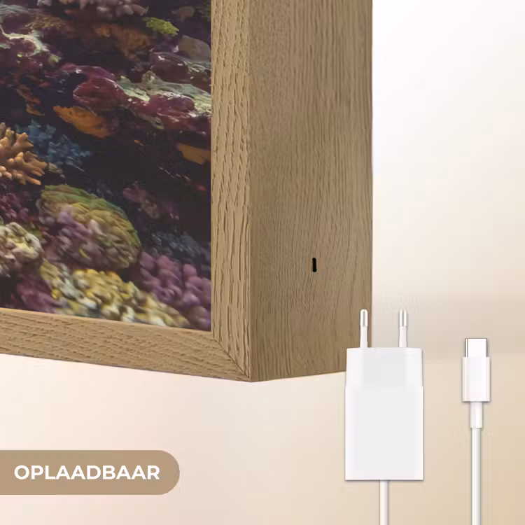 Vis - Koraalrif - Onderwater - Levendig - Blauw Light Box met batterij (Wandlamp) middel -USP_websiteoplaadbaarNL