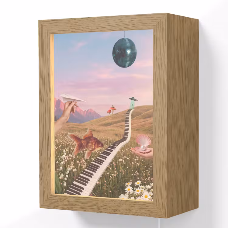 Lightbox - Wandlamp - Vis - Natuur - Abstract - Vis - Natuur - Abstract Light Box met kabel (Wandlamp) klein