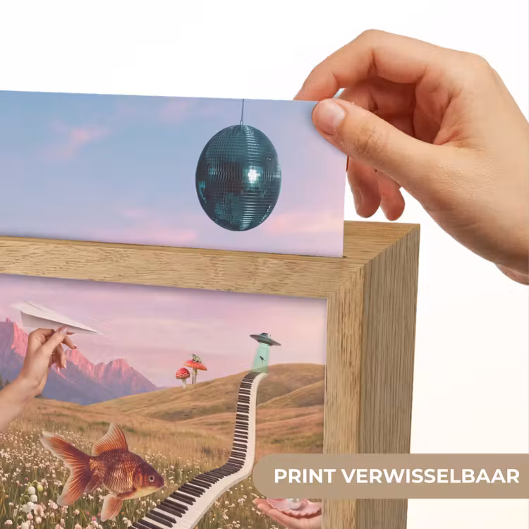 Lightbox - Wandlamp - Vis - Natuur - Abstract - Vis - Natuur - Abstract Light Box met kabel (Wandlamp) klein