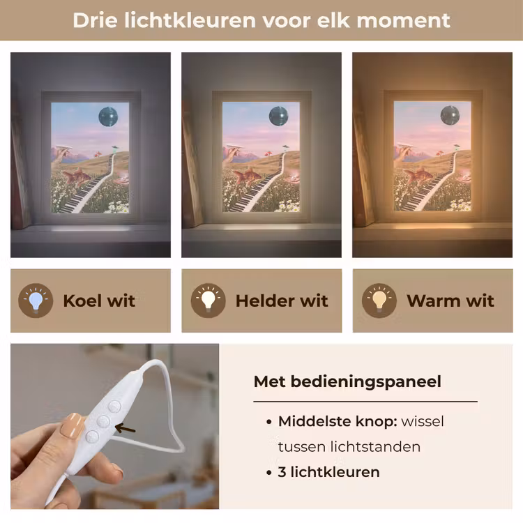 Lightbox - Wandlamp - Vis - Natuur - Abstract - Vis - Natuur - Abstract Light Box met kabel (Wandlamp) klein