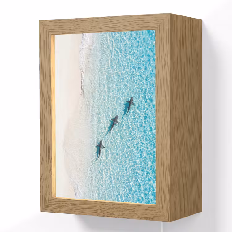 Vis - Oceaan - Strand - Turquoise - Natuur Light Box met kabel (Wandlamp) klein -3d