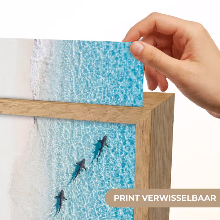 Vis - Oceaan - Strand - Turquoise - Natuur Light Box met kabel (Wandlamp) klein -USP_websiteprintNL