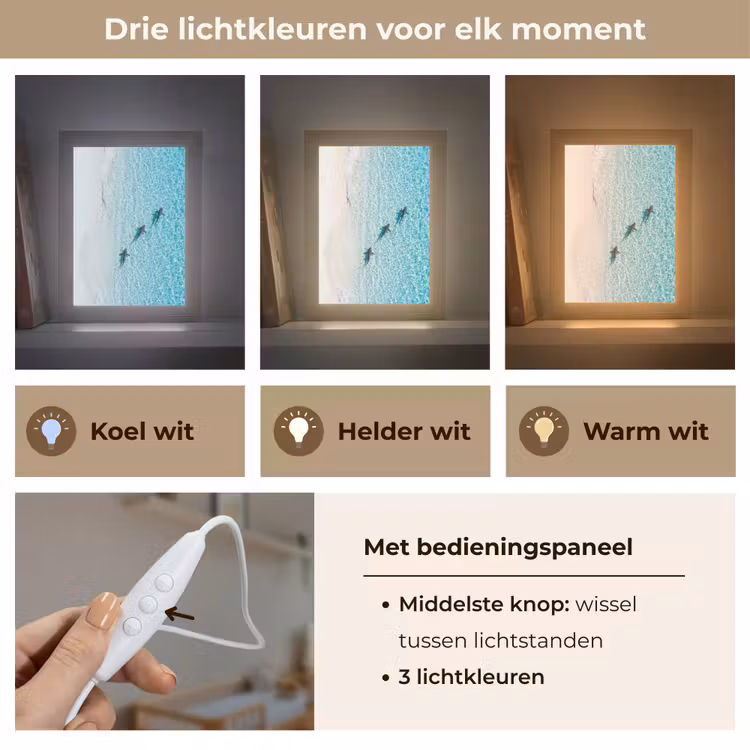 Vis - Oceaan - Strand - Turquoise - Natuur Light Box met kabel (Wandlamp) klein -USP_lichtkleurNL