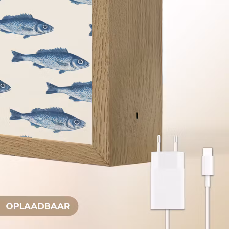 Vis - Patroon - Blauw Light Box met batterij (Wandlamp) middel 907 -USP_websiteoplaadbaarNL
