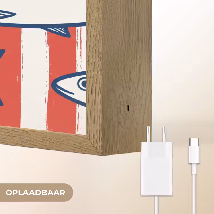 Vis - Patroon - Strepen - Illustratie - Rood Light Box met batterij (Wandlamp) middel -USP_websiteoplaadbaarNL