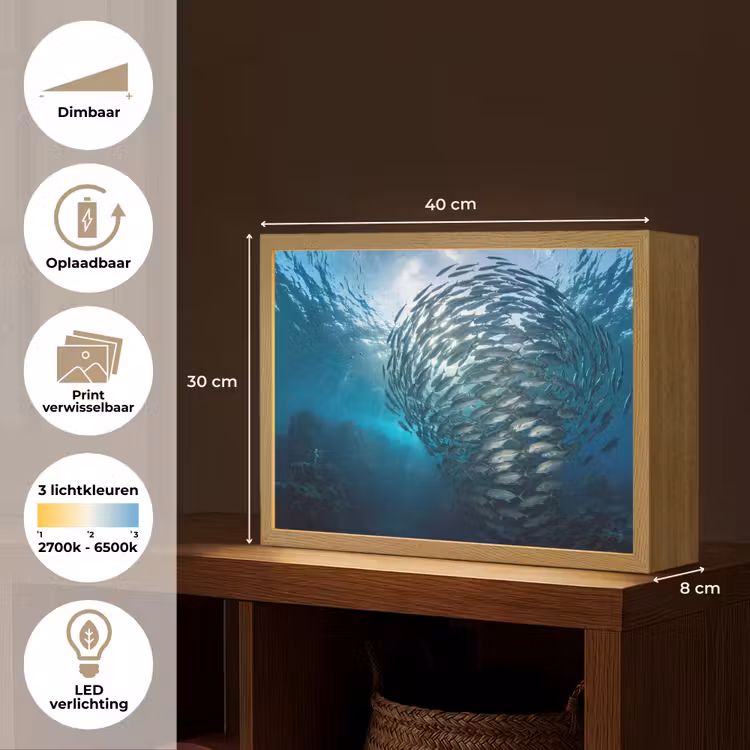 Vis - School - Oceaan - Natuur - Blauw Light Box met batterij (Wandlamp) middel -USP_websiteoverzichtNL