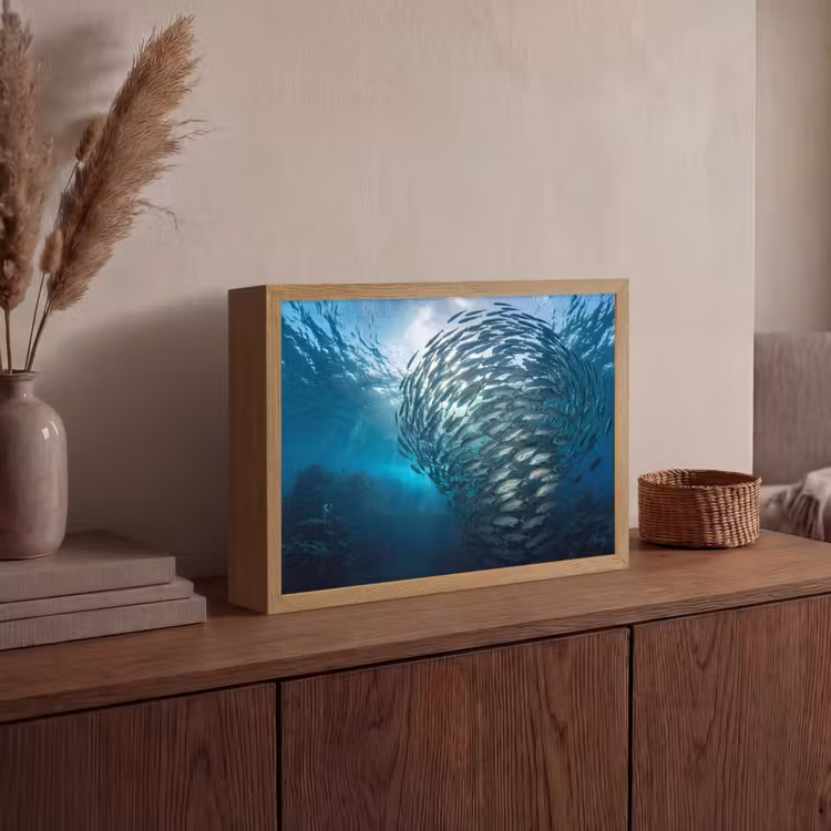 Vis - School - Oceaan - Natuur - Blauw Light Box met batterij (Wandlamp) middel -sfeer2