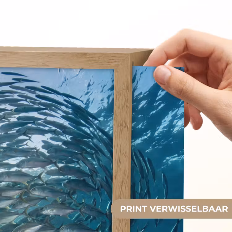 Vis - School - Oceaan - Natuur - Blauw Light Box met batterij (Wandlamp) middel -USP_websiteprintNL