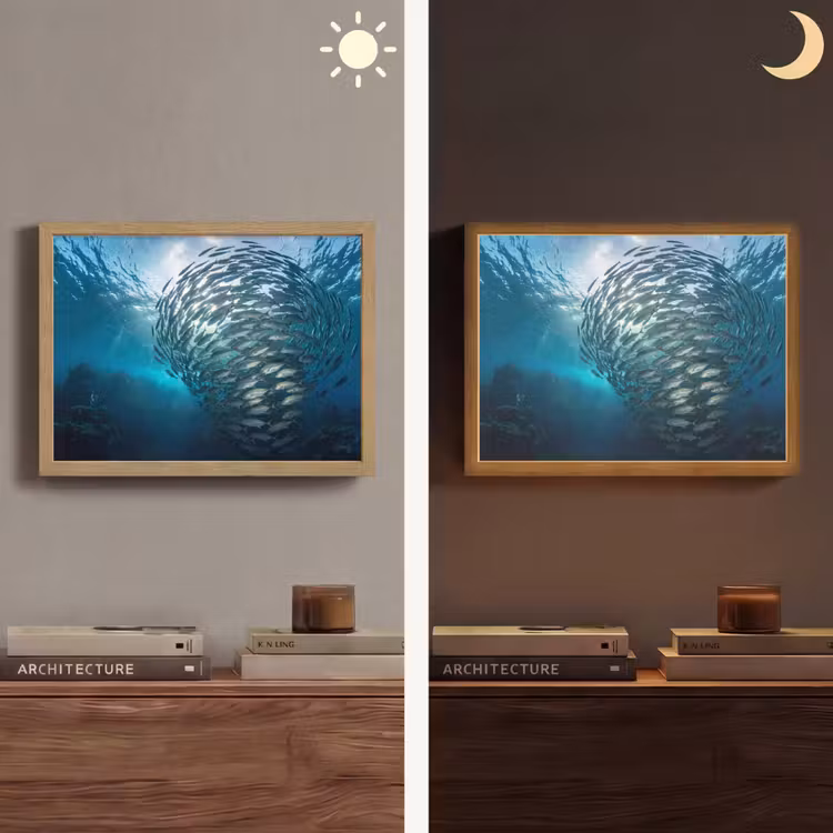 Vis - School - Oceaan - Natuur - Blauw Light Box met batterij (Wandlamp) middel -sfeer3