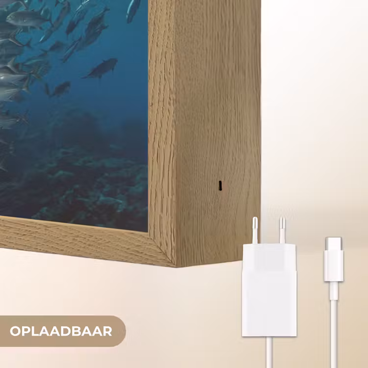 Vis - School - Oceaan - Natuur - Blauw Light Box met batterij (Wandlamp) middel -USP_websiteoplaadbaarNL