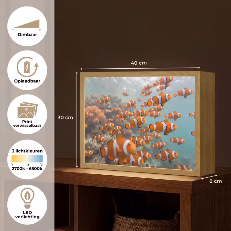 Vis - School - Onderwater - Dieren - Oranje Light Box met batterij (Wandlamp) middel -USP_websiteoverzichtNL