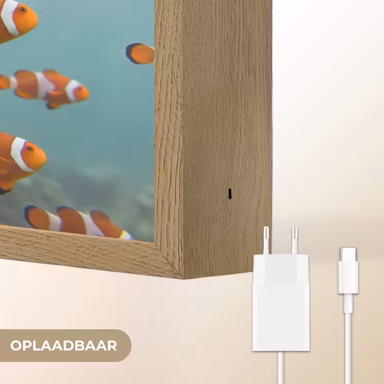 Vis - School - Onderwater - Dieren - Oranje Light Box met batterij (Wandlamp) middel -USP_websiteoplaadbaarNL