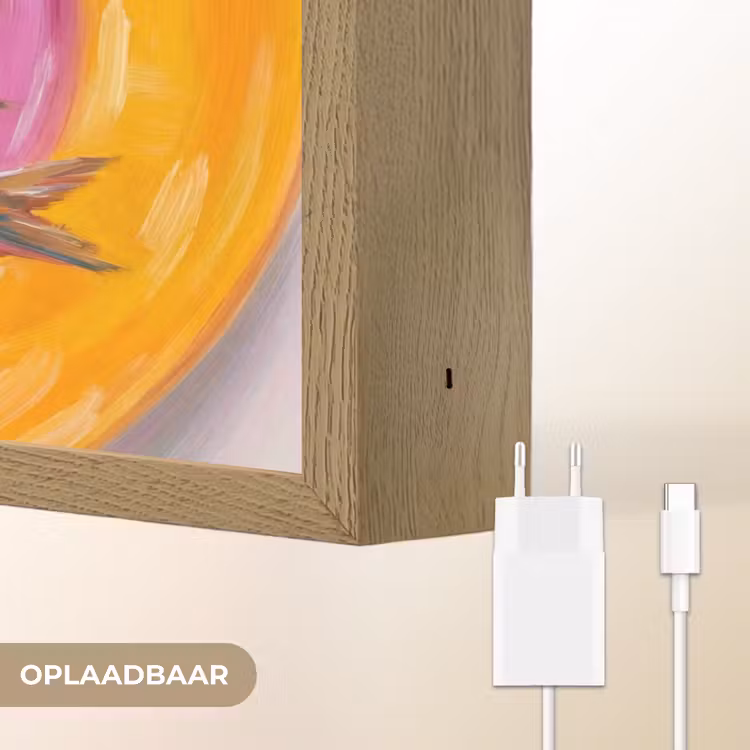 Vis - Vier - Eten - Modern - Kleurrijk Light Box met batterij (Wandlamp) middel -USP_websiteoplaadbaarNL