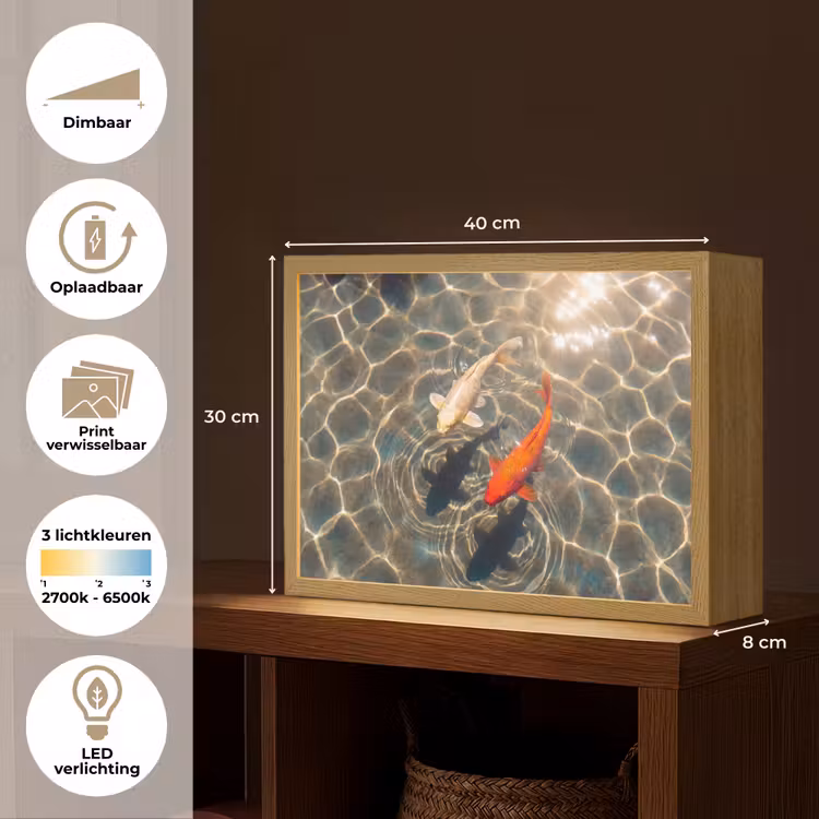 Vis - Water - Dieren - Oranje - Goud Light Box met batterij (Wandlamp) middel -USP_websiteoverzichtNL