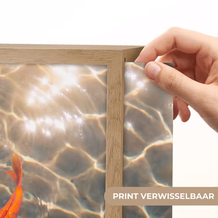 Vis - Water - Dieren - Oranje - Goud Light Box met batterij (Wandlamp) middel -USP_websiteprintNL