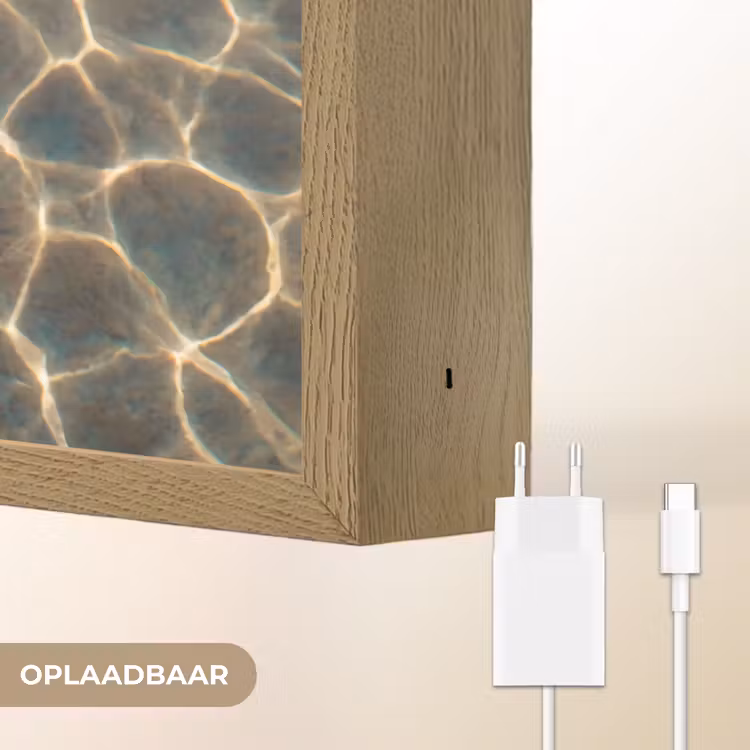 Vis - Water - Dieren - Oranje - Goud Light Box met batterij (Wandlamp) middel -USP_websiteoplaadbaarNL
