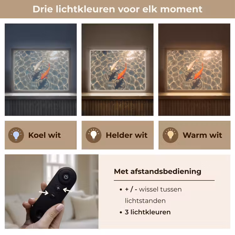 Vis - Water - Dieren - Oranje - Goud Light Box met batterij (Wandlamp) middel -USP_lichtkleurNL