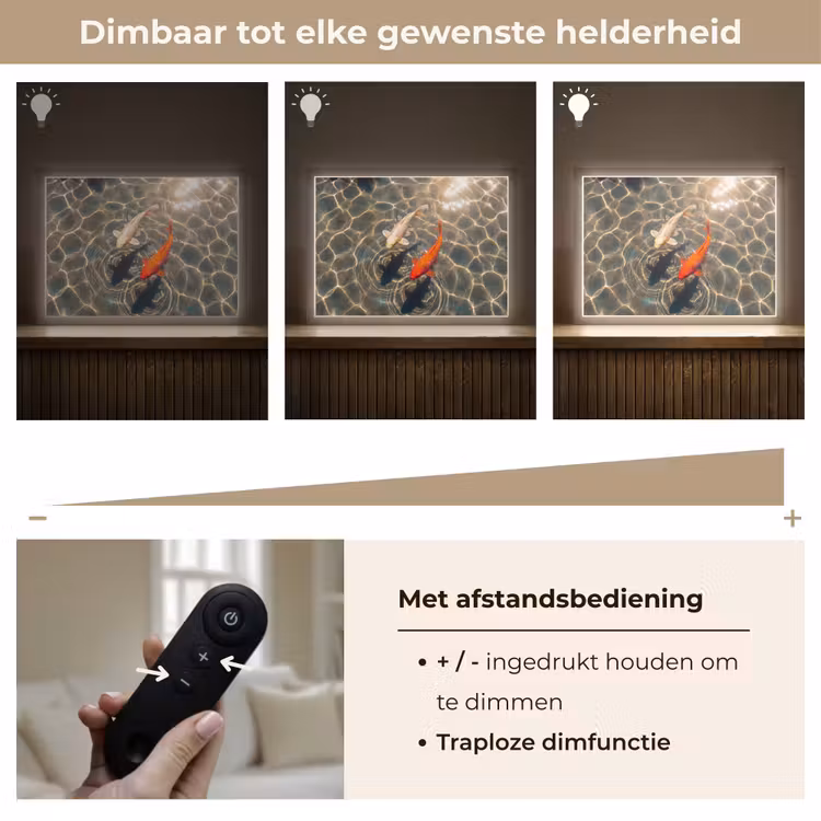 Vis - Water - Dieren - Oranje - Goud Light Box met batterij (Wandlamp) middel -USP_dimbaarNL