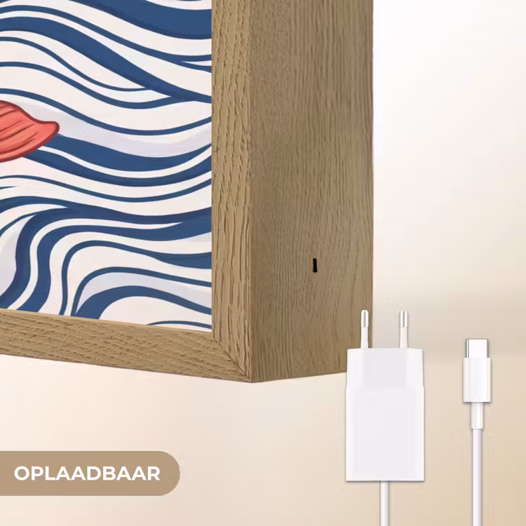 Vis - Water - Natuur - Illustratie - Rood Light Box met batterij (Wandlamp) middel -USP_websiteoplaadbaarNL
