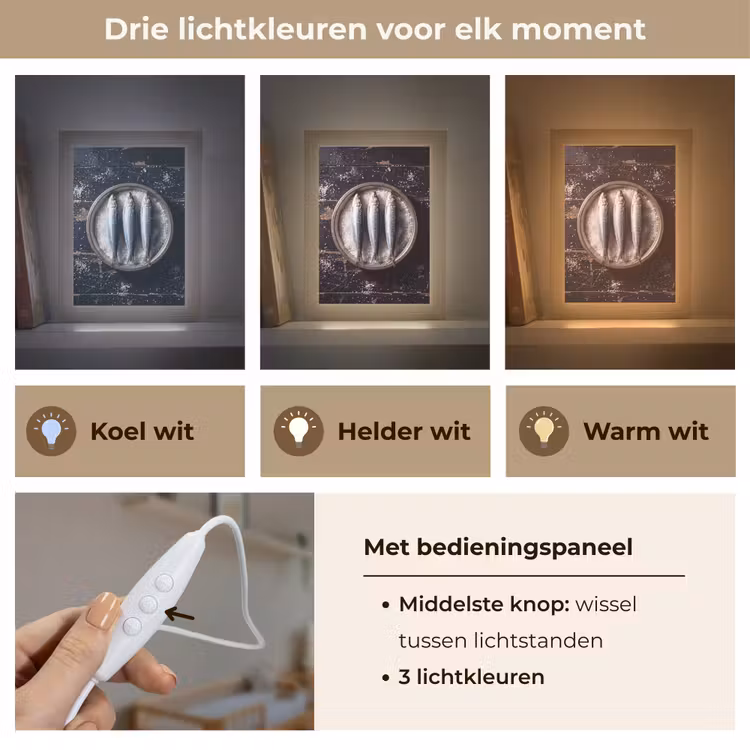 Lightbox - Wandlamp - Vis - Zout - Eten - Vis - Zout - Eten Light Box met kabel (Wandlamp) klein