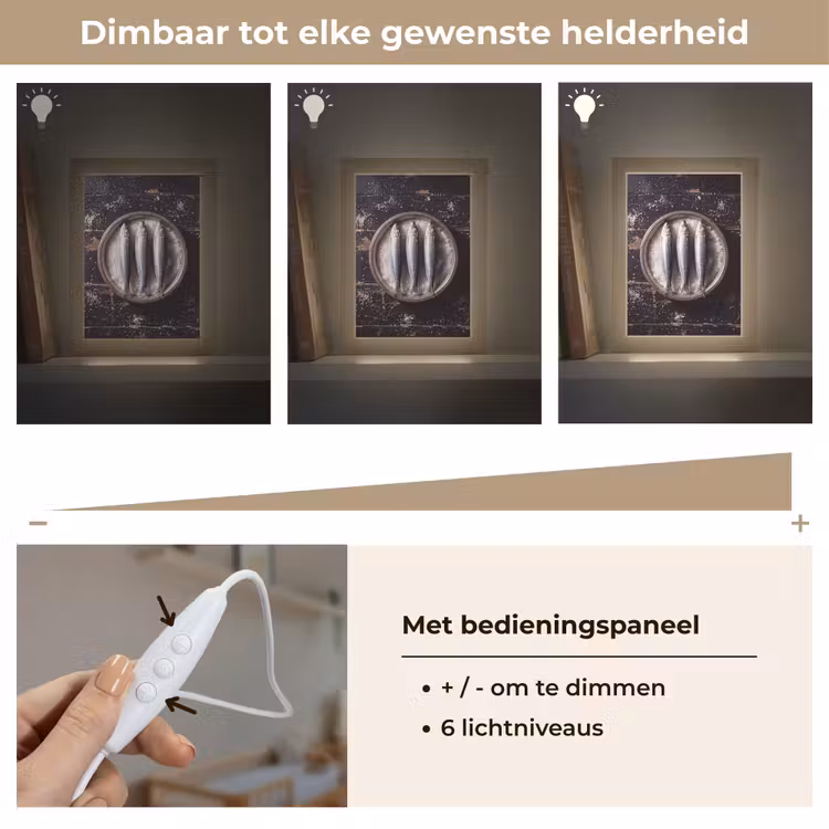 Lightbox - Wandlamp - Vis - Zout - Eten - Vis - Zout - Eten Light Box met kabel (Wandlamp) klein