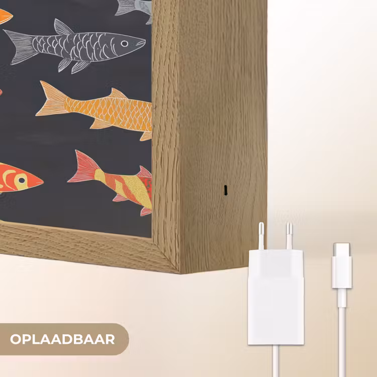 Vissen - Patroon - Kleurrijk Light Box met batterij (Wandlamp) middel 907 -USP_websiteoplaadbaarNL